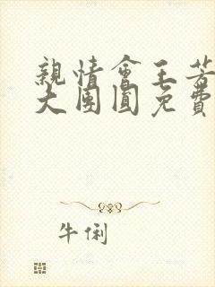 亲情会王芳高敏大团圆免费阅读