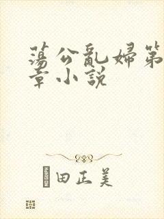 荡公乱妇第51章小说