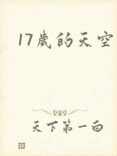 17岁的天空