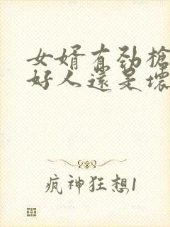 女婿有劲枪枪是好人还是坏人封面