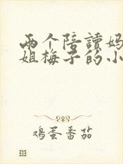 两个陪读妈妈赵姐梅子的小说