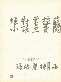 绝对掌控苏绵绵小说免费阅读全文