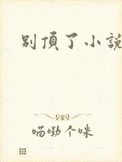 别顶了小说封面