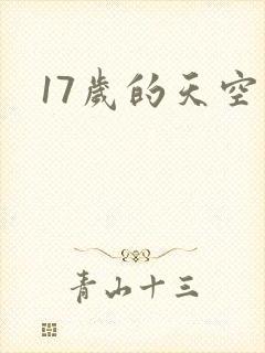 17岁的天空