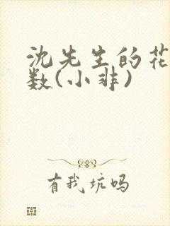 沈先生的花式调数(小非)