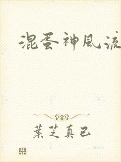 混蛋神风流