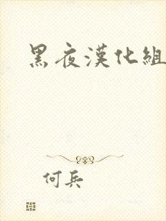 黑夜汉化组