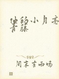 他的小月亮by青藤