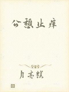 公憩止痒封面