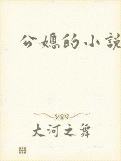 公媳的小说封面