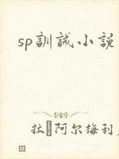 sp训诫小说
