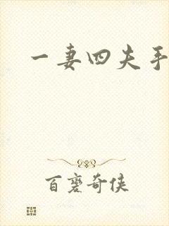 一妻四夫手记封面