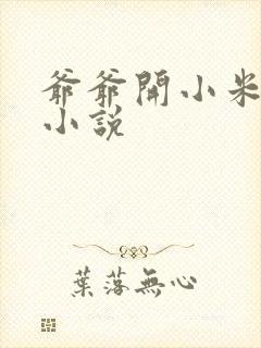 爷爷开小米的包小说