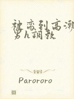 被脔到高潮的直男h调教