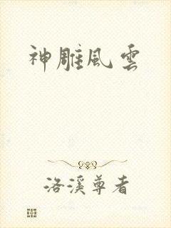 神雕风云封面