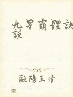 九星霸体诀 小说