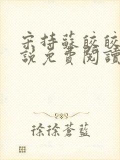 宋持苏皎皎的小说免费阅读