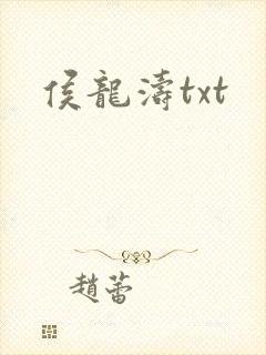 侯龙涛txt封面