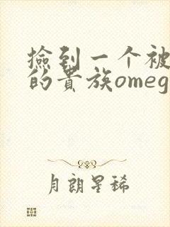 捡到一个被抹布的贵族omega