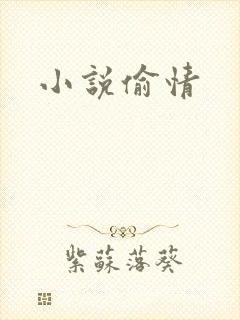 小说偷情