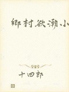 乡村欲潮小说封面