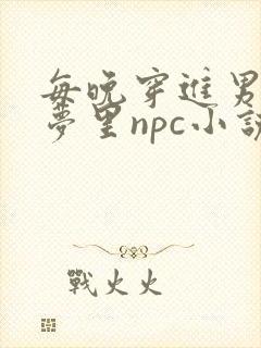 每晚穿进男神的梦里npc小说封面
