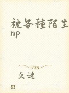 被各种陌生人 np