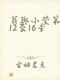 翁与小莹第十部12至16章