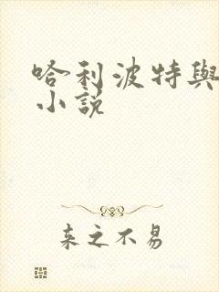 哈利波特与密室小说封面