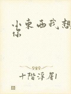 小东西我想弄坏你封面