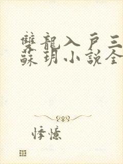 双龙入户三人行苏玥小说全文阅读封面