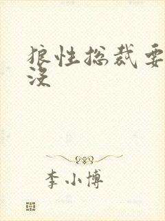 狼性总裁要够了没