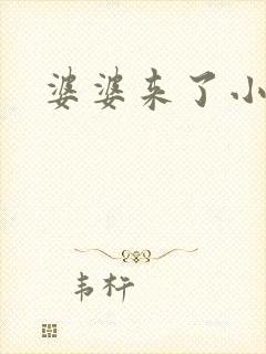 婆婆来了小说封面