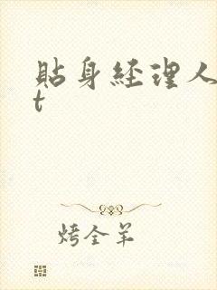 贴身经理人txt封面