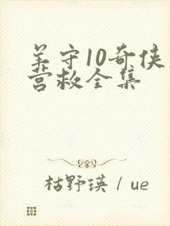 羊守10奇侠大营救全集封面