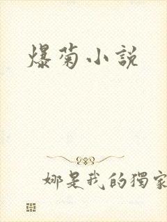 爆菊小说