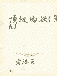 顶级肉欲(军高h)