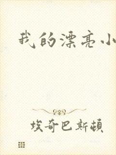 我的漂亮小后妈