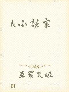 h小说家