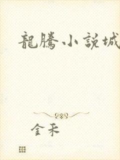 龙腾小说城封面