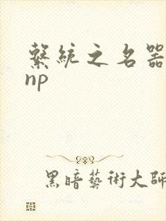 系统之名器攻略np