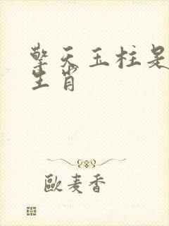 擎天玉柱是什么生肖