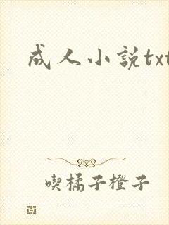 成人小说txt