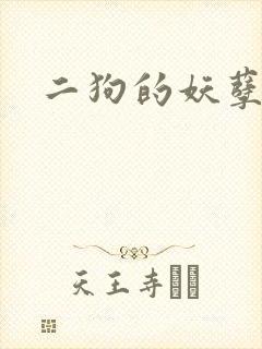 二狗的妖孽人生