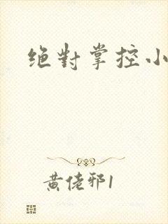 绝对掌控小说