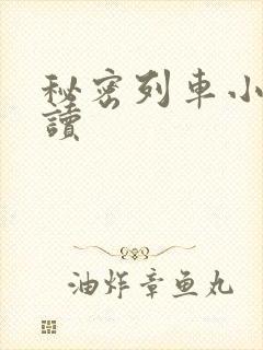 秘密列车小说阅读