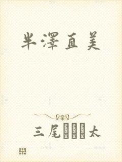 半泽直美封面