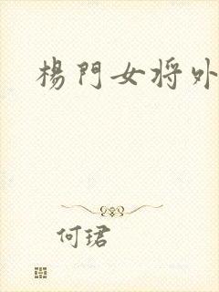 杨门女将外传