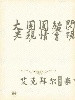 大团圆结闪闪发光亲情会视频封面