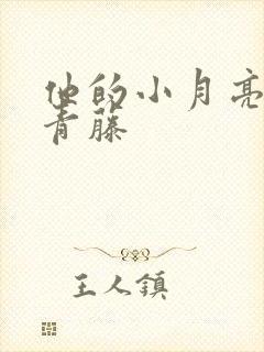 他的小月亮by青藤封面